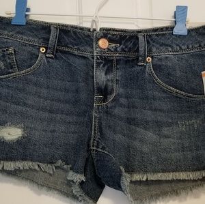 American Rag NWT jean shorts sz 7